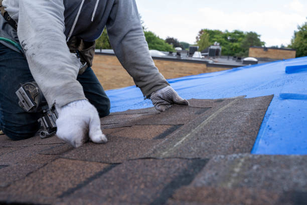 Best Chimney Flashing Repair  in Soperton, GA